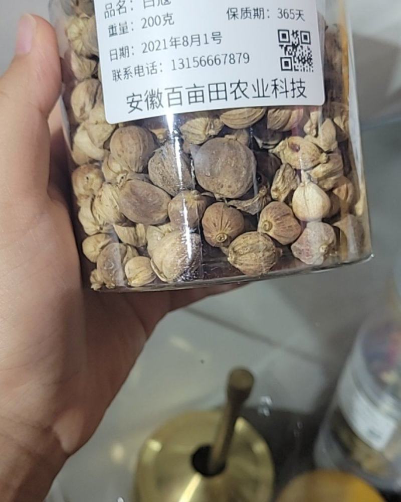 白寇（豆蔻）白豆蔻精品手选货足干无硫产地一手货源