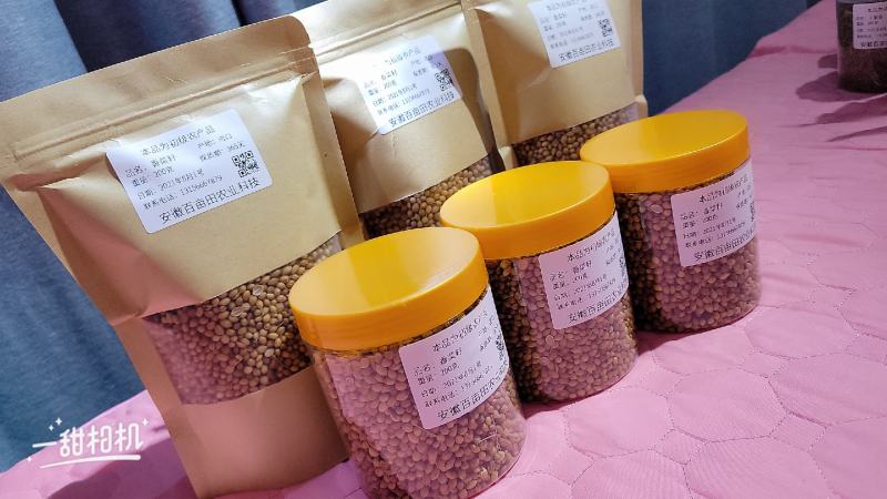 香菜籽进口香菜籽无硫，大货供应，批零兼营，质优价美