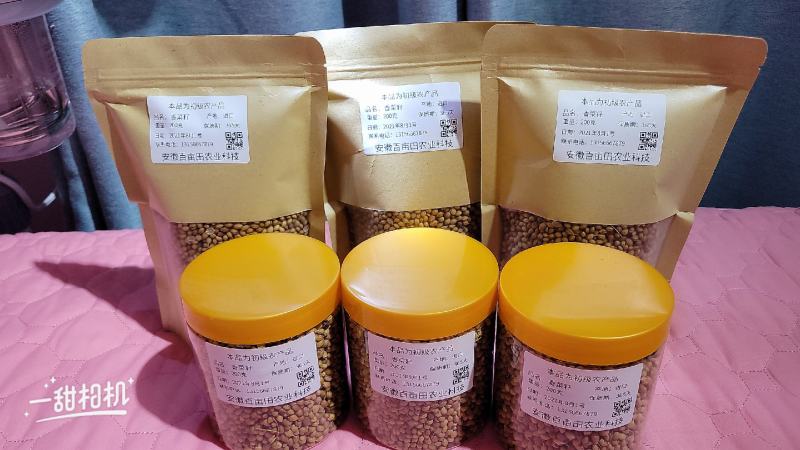 香菜籽进口香菜籽无硫，大货供应，批零兼营，质优价美