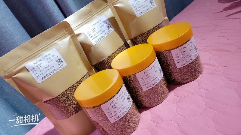 香菜籽进口香菜籽无硫，大货供应，批零兼营，质优价美