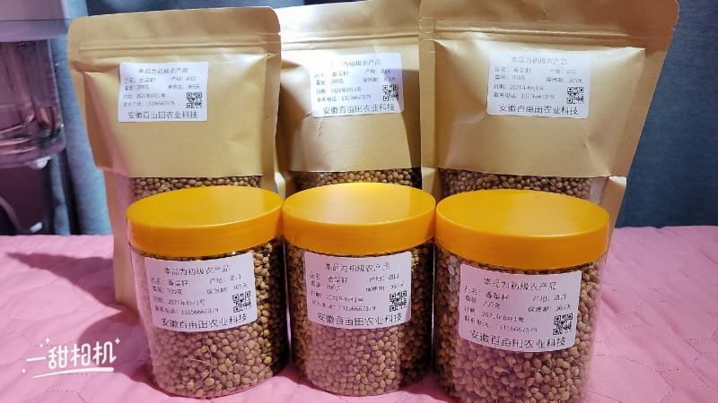 香菜籽进口香菜籽无硫，大货供应，批零兼营，质优价美