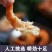 烤虾干渤海盐田虾可做小包装贴牌团购一二类电商旅游话会福利