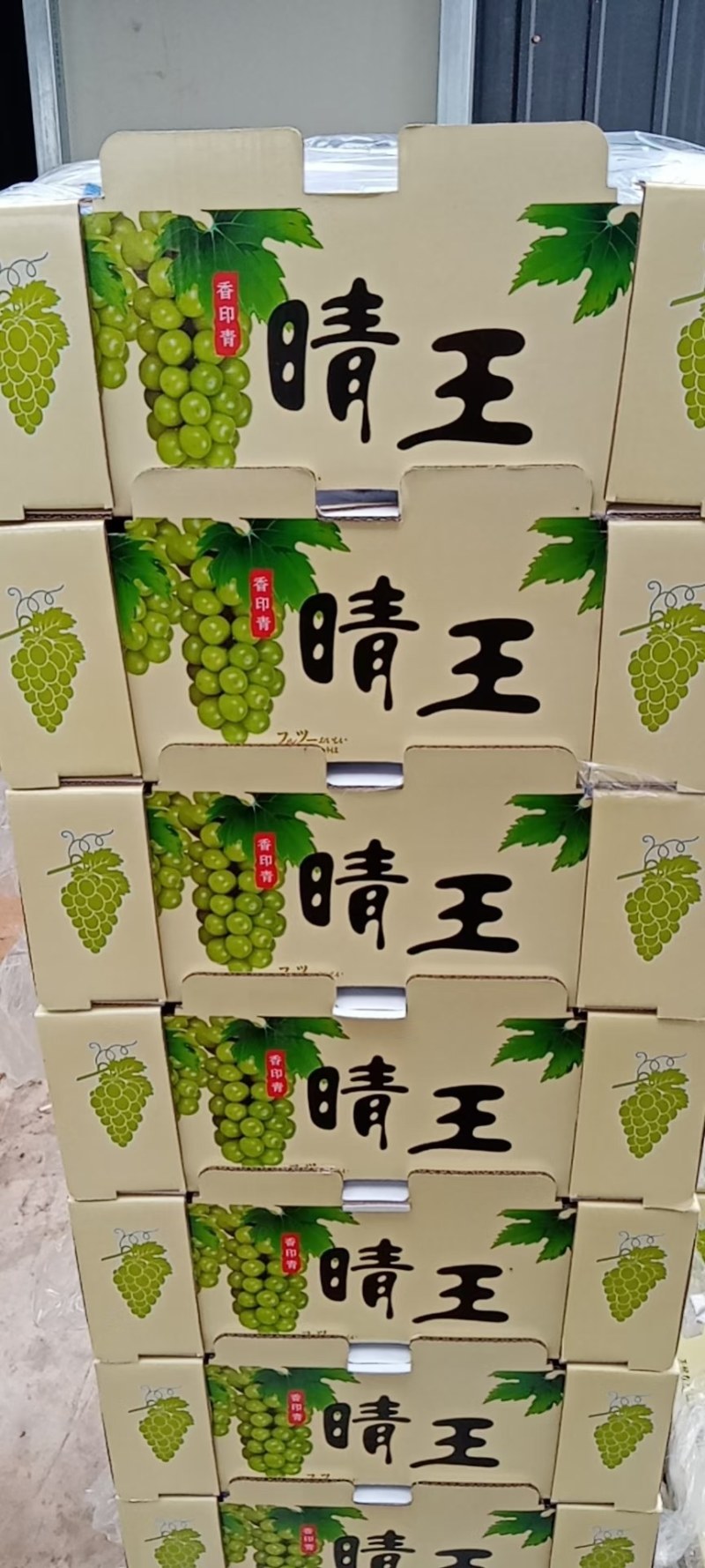 阳光玫瑰供货中，大棚种植，产地直销。单粒十二克，穗重二斤