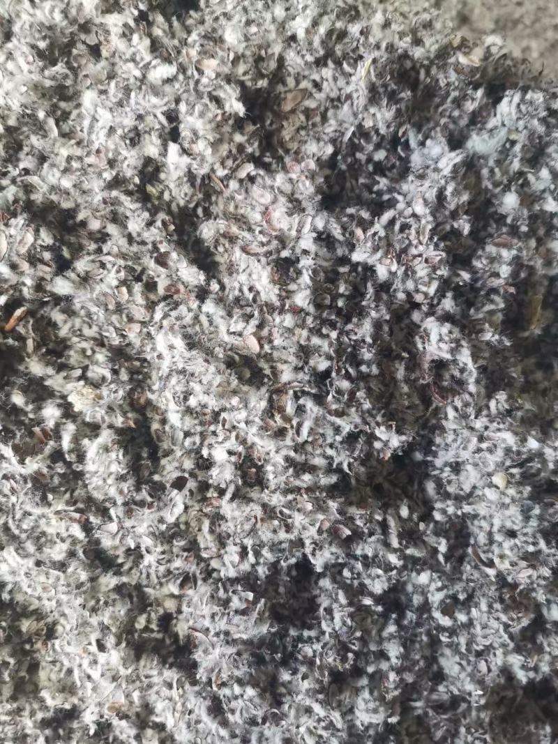 新疆优质棉籽壳，蘑菇种植，食用菌栽培