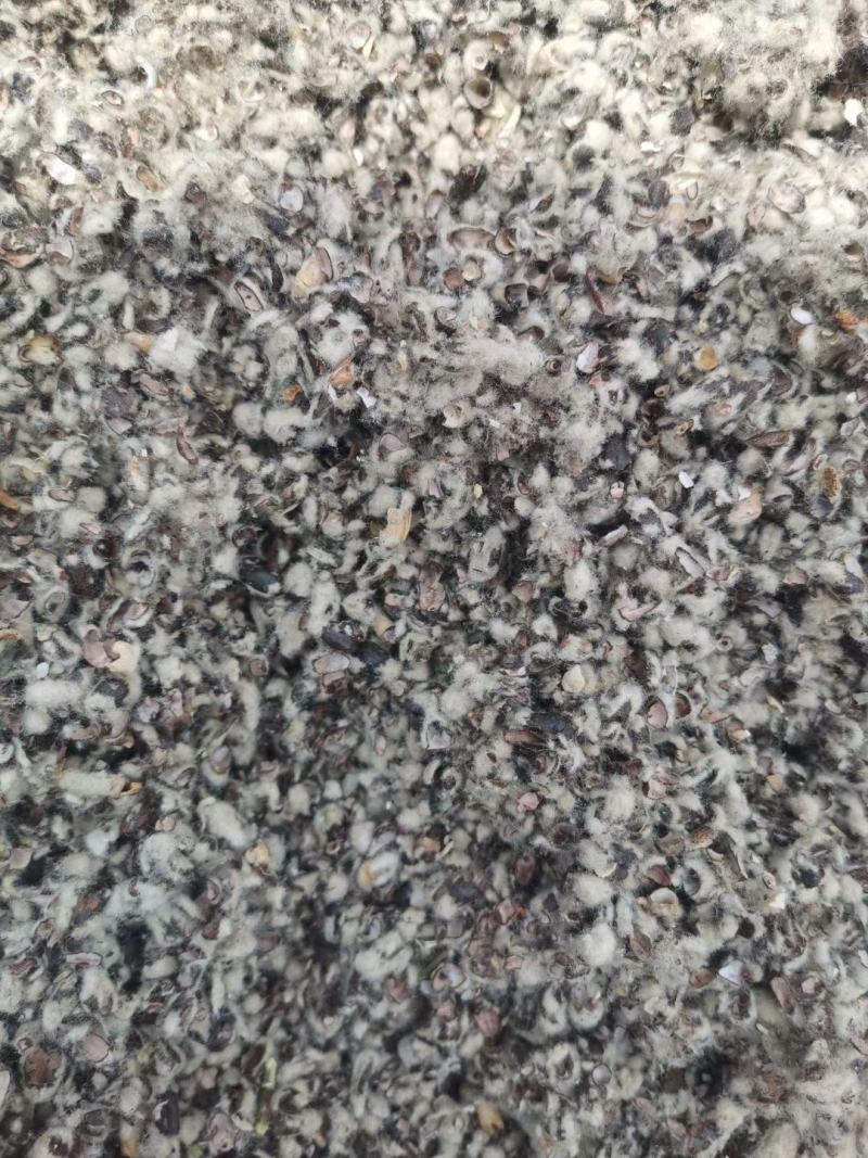 新疆优质棉籽壳，蘑菇种植，食用菌栽培