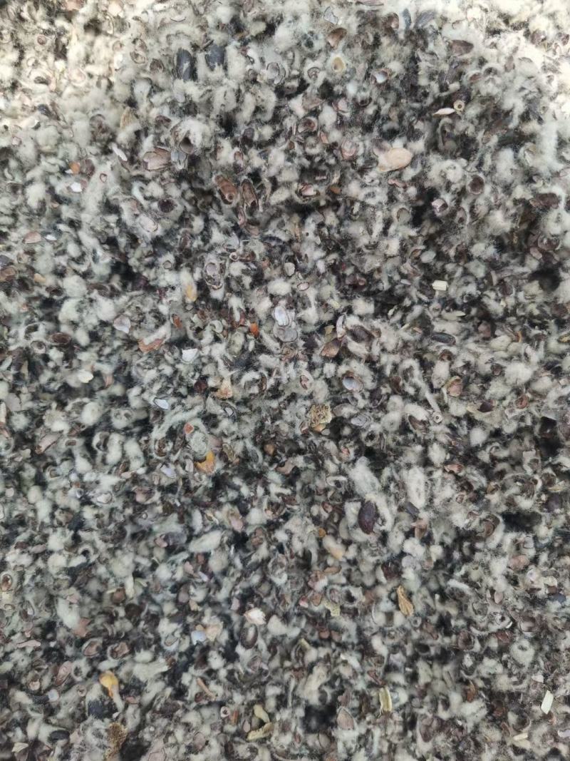 新疆优质棉籽壳，蘑菇种植，食用菌栽培