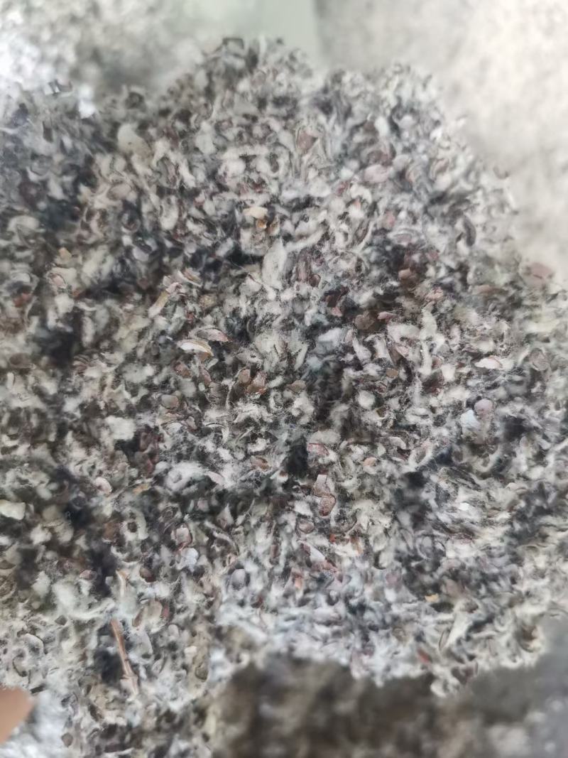 新疆优质棉籽壳，蘑菇种植，食用菌栽培