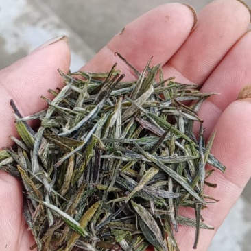 信阳毛尖商城高山茶