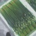 精品韭苔大量有货需要可以联系，质量**，品质保证，