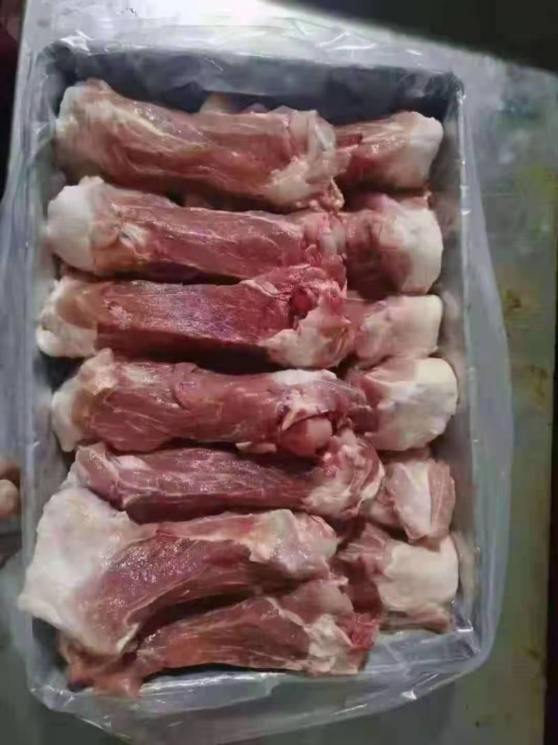 后棒骨