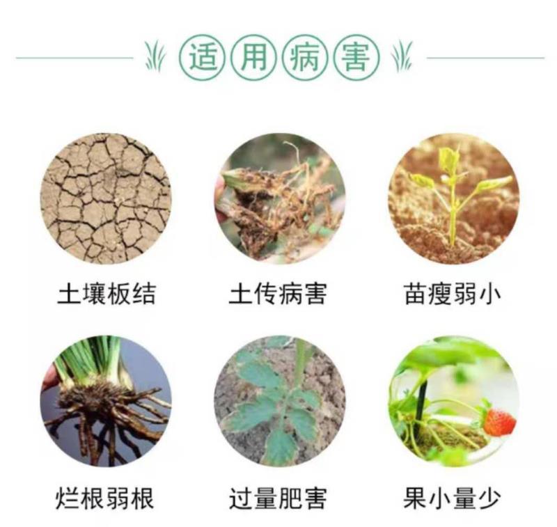 微生物菌剂，有机质是百分之50，每克里面含有10亿菌。