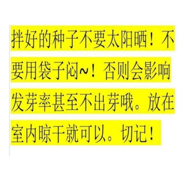 33%苯醚咯菌腈噻虫嗪种子处剂小麦拌种剂蚜虫根腐病