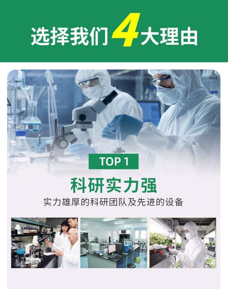 33%苯醚咯菌腈噻虫嗪种子处剂小麦拌种剂蚜虫根腐病