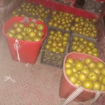 批发价，几万斤的可以