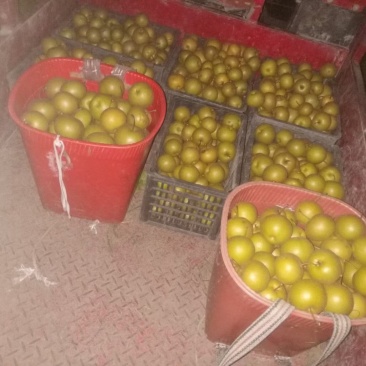 批发价，几万斤的可以