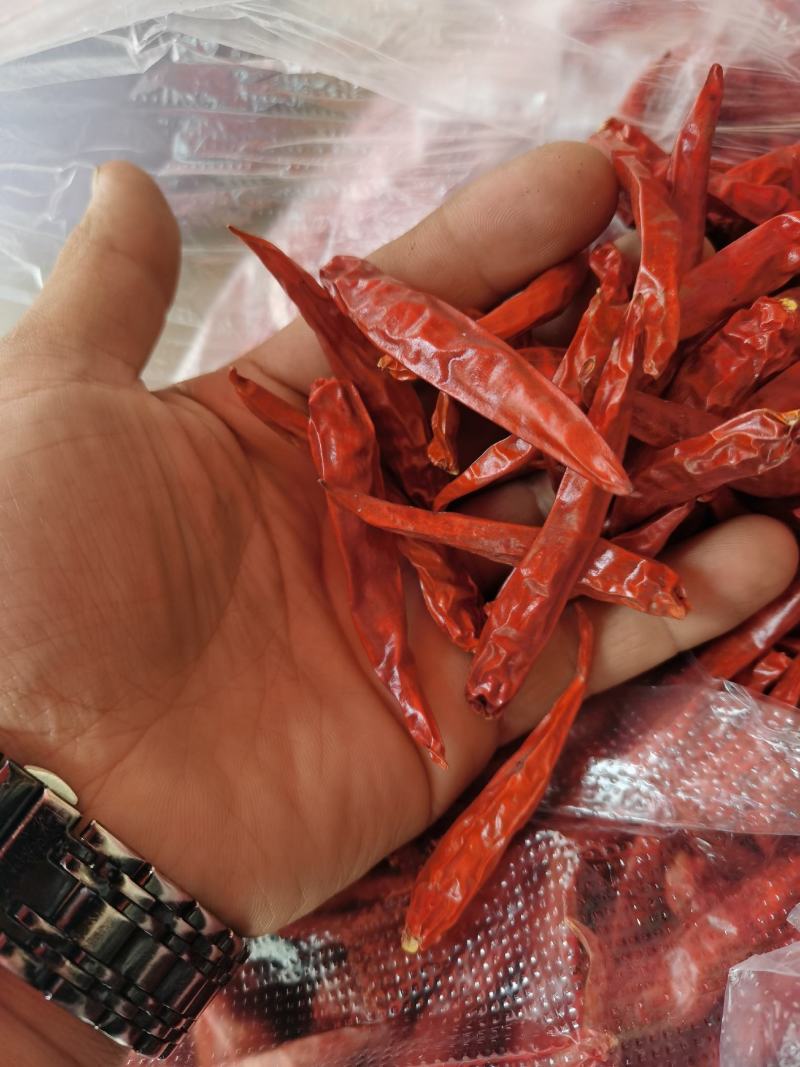 小米辣干辣椒，精品