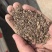 蓖麻饼厂家法进口蓖麻粕肥料专治根线虫地下害虫