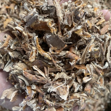 中药材,桑柏皮,药厂,兽药厂货欢迎大家下单