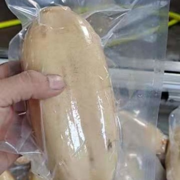 大量供应真空包装藕，正规公司。