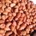 【精品】白沙花生米，产地直发无坏果，颗粒饱满，全国供应