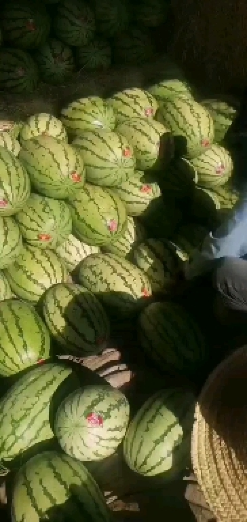 金华一号金城五号硒砂瓜宁夏石头瓜