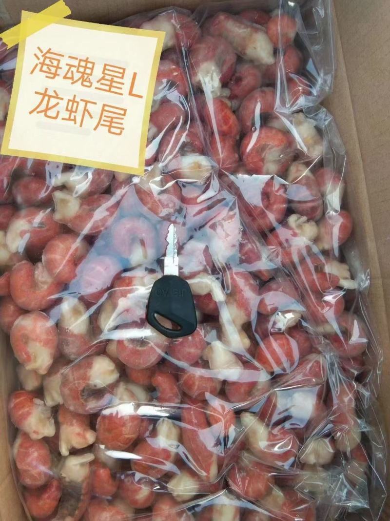 海魂星L，M龙虾尾