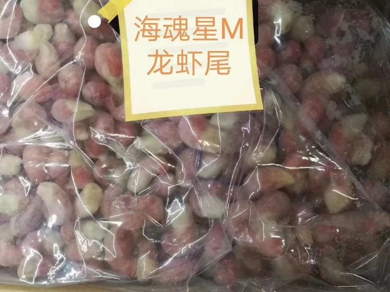 海魂星L，M龙虾尾