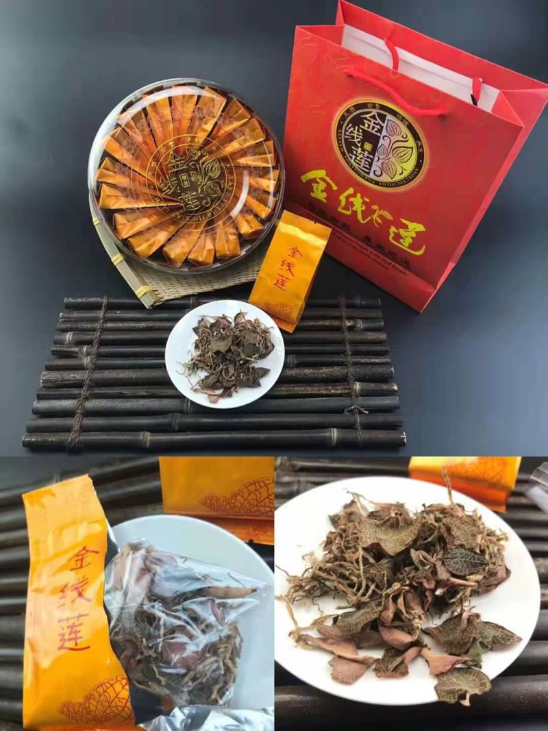 金线莲种植鲜品(现采现卖)货源充足量大从优质量保证欢迎