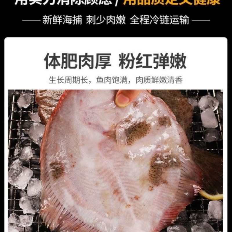【包邮_6条比目鱼】热销鲜活新鲜冷冻水产比目鱼3条5条