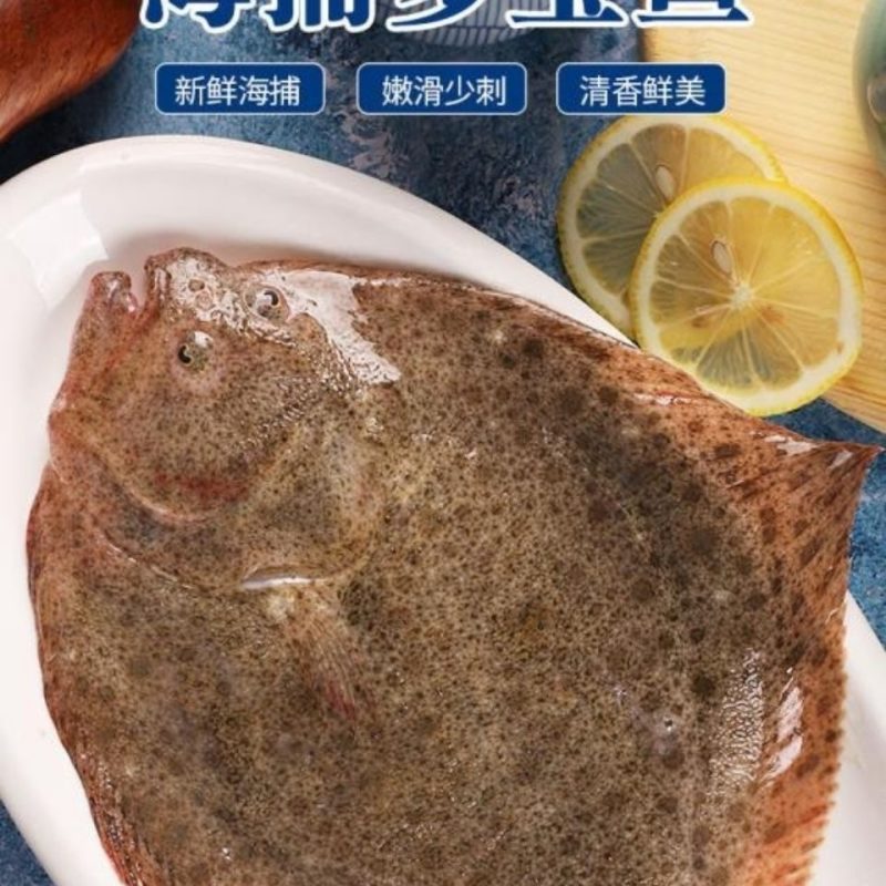 【包邮_6条比目鱼】热销鲜活新鲜冷冻水产比目鱼3条5条