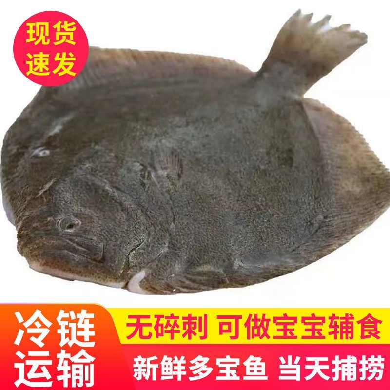 【包邮_6条比目鱼】热销鲜活新鲜冷冻水产比目鱼3条5条
