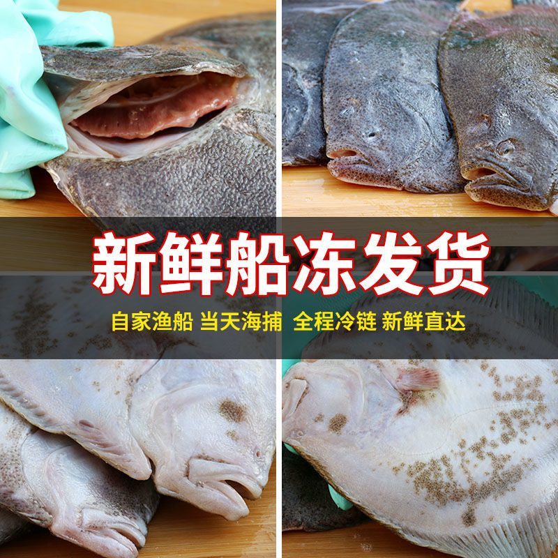 【包邮_6条比目鱼】热销鲜活新鲜冷冻水产比目鱼3条5条