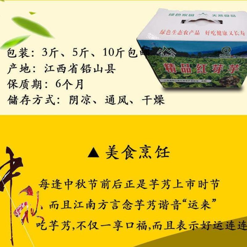 铅山紫溪红芽芋