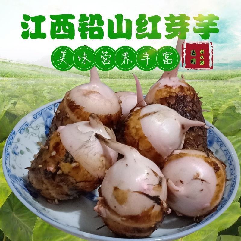 铅山紫溪红芽芋
