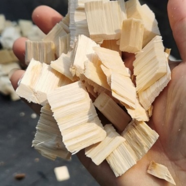 木屑颗粒木屑片樟树木屑白杨楠木构木可按要求现粉现碎现装车
