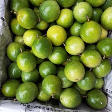 生态百香果