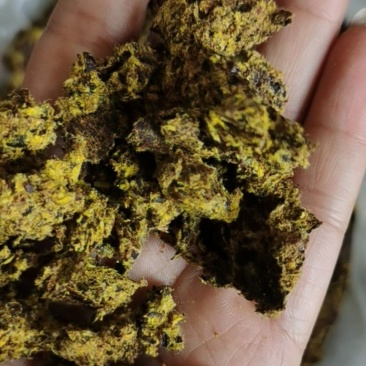 厂家供应牛羊用棉籽饼，新疆棉饼欢迎订购棉饼