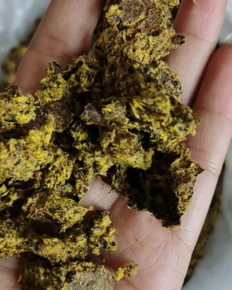 厂家供应牛羊用棉籽饼，新疆棉饼欢迎订购棉饼