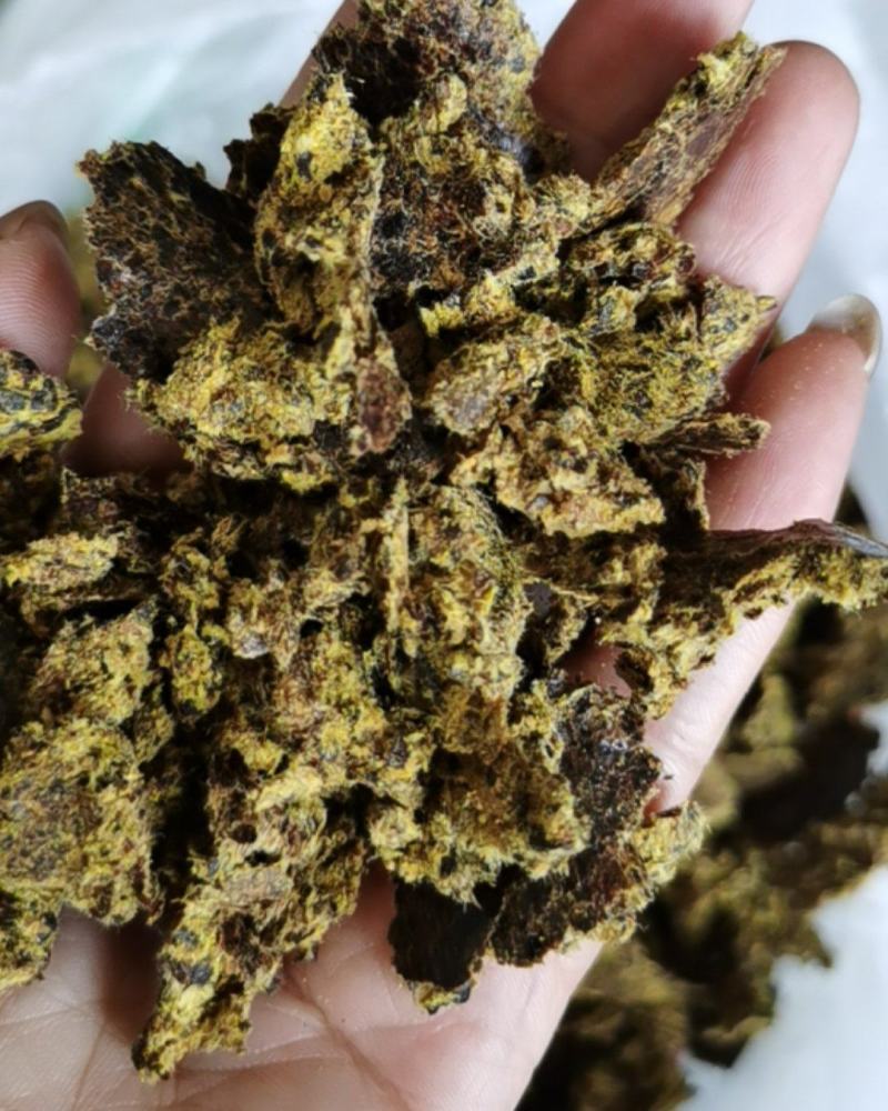 厂家供应牛羊用棉籽饼，新疆棉饼欢迎订购棉饼