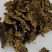 厂家供应牛羊用棉籽饼，新疆棉饼欢迎订购棉饼