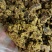 厂家供应牛羊用棉籽饼，新疆棉饼欢迎订购棉饼