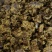 厂家供应牛羊用棉籽饼，新疆棉饼欢迎订购棉饼