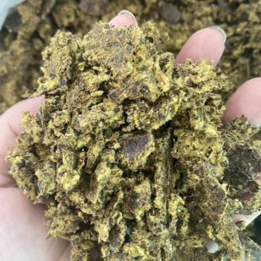 厂家直销优质棉饼棉籽饼养殖牛羊马高蛋白高营养
