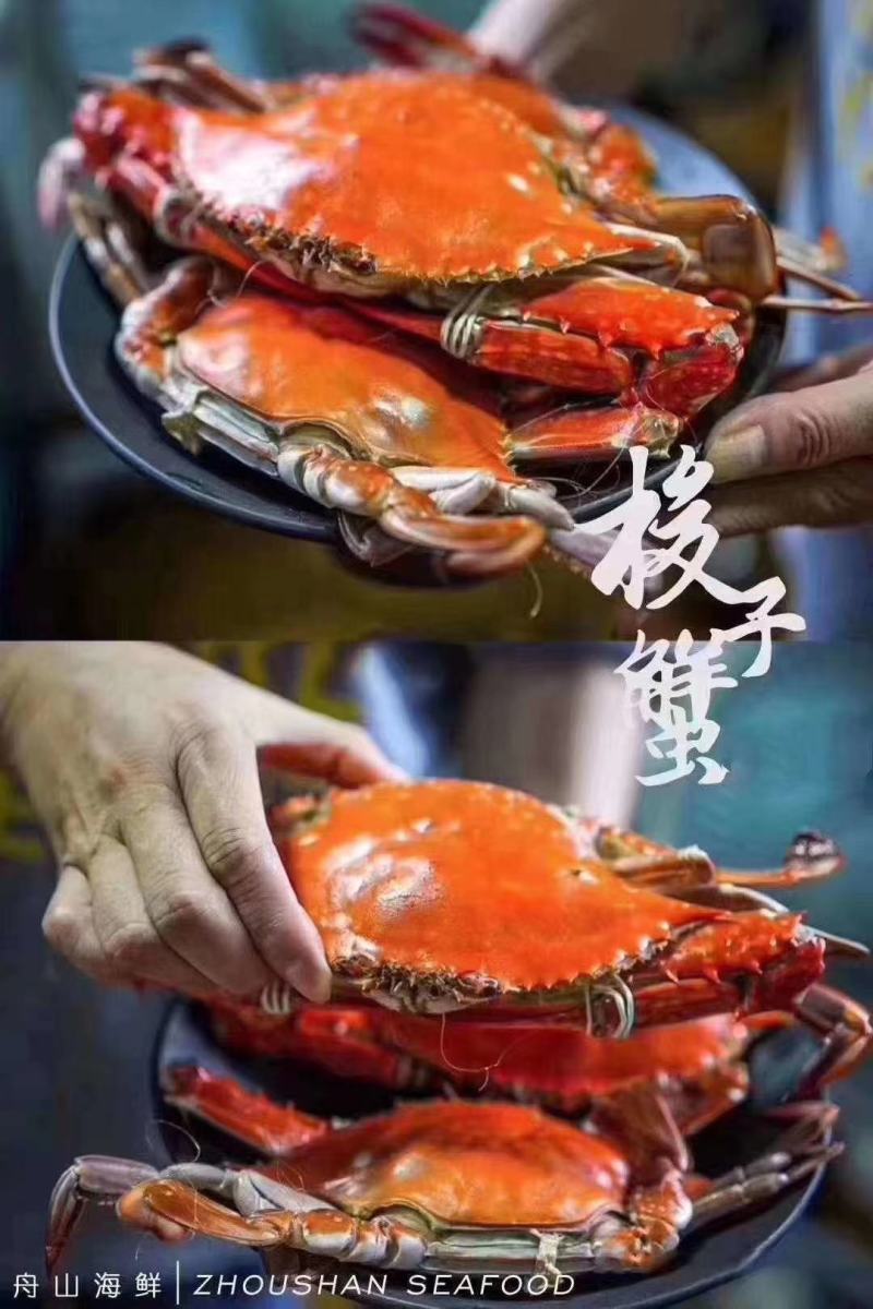 螃蟹
