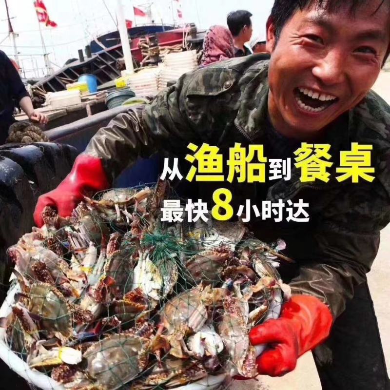 螃蟹