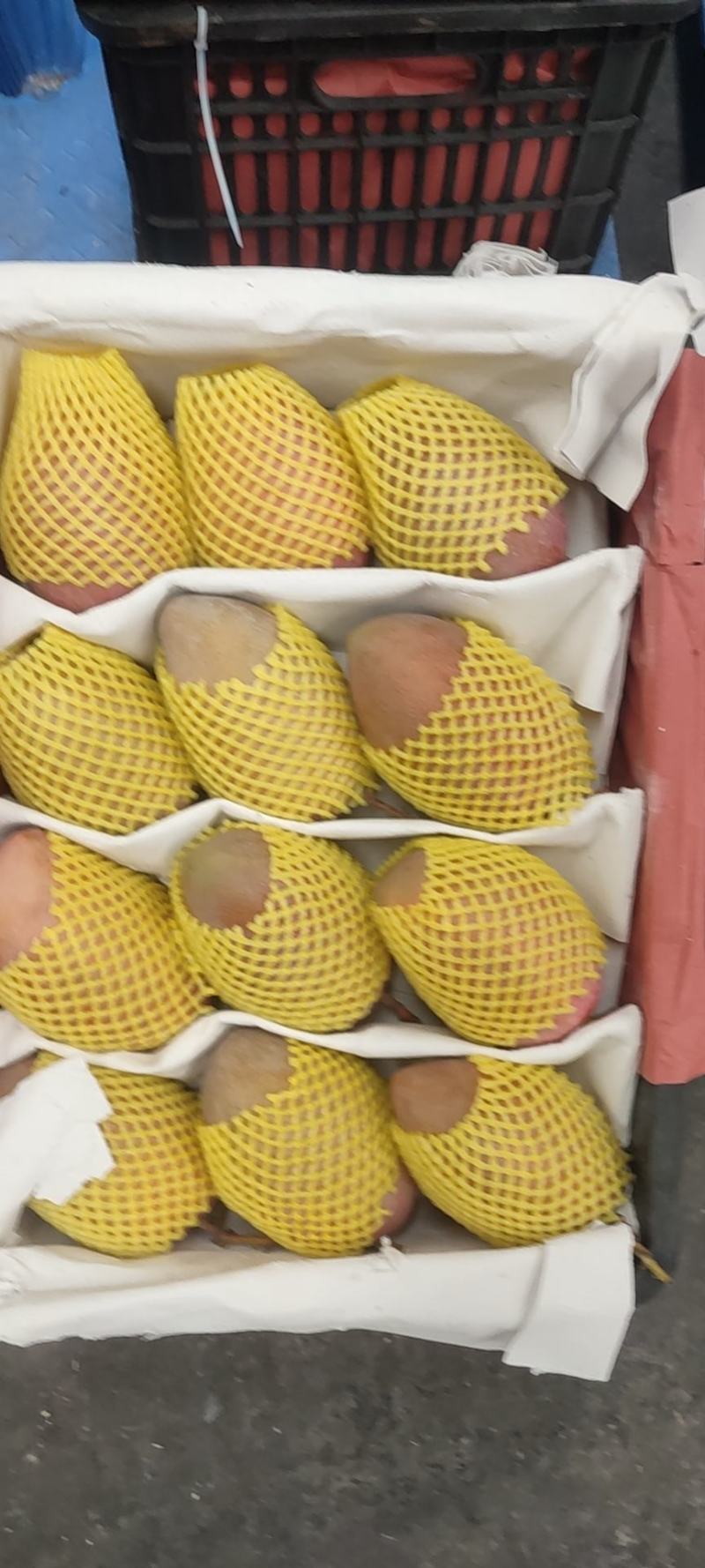 代销代购各种芒果欢迎咨询