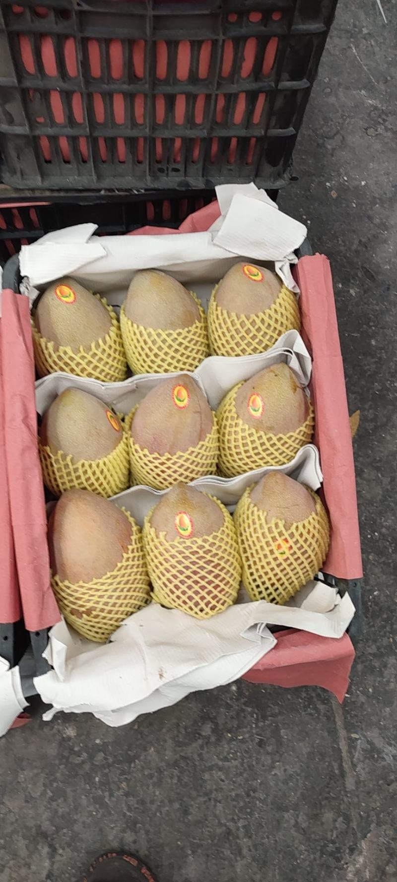 代销代购各种芒果欢迎咨询