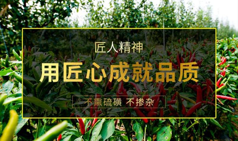 河南新一代干朝天椒干辣椒微辣香型小辣椒火锅底料调料魔鬼椒