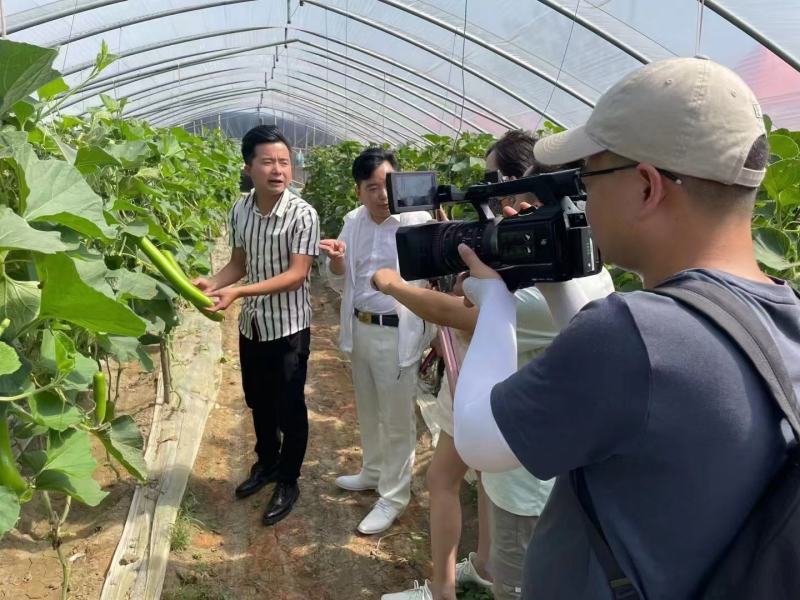 瓠子大量上市中，1000亩基地直供，欢迎新老客户考查，采