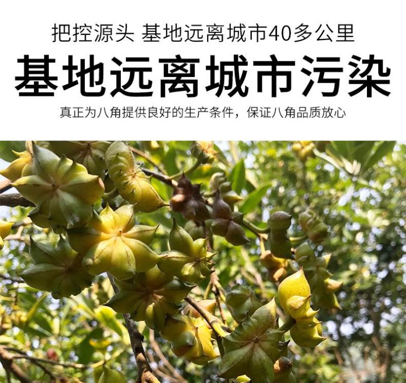 批发大红八角500克去把过筛八角大茴香散装干大料
